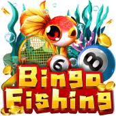 Bingo Fishing at NN77